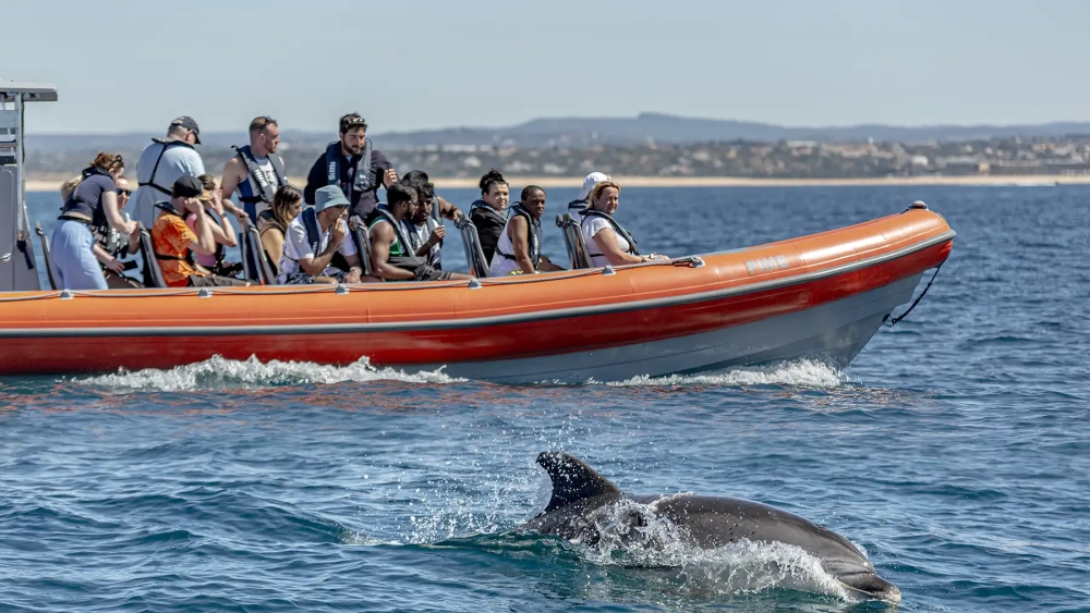 Ski Molhado - Water Sports