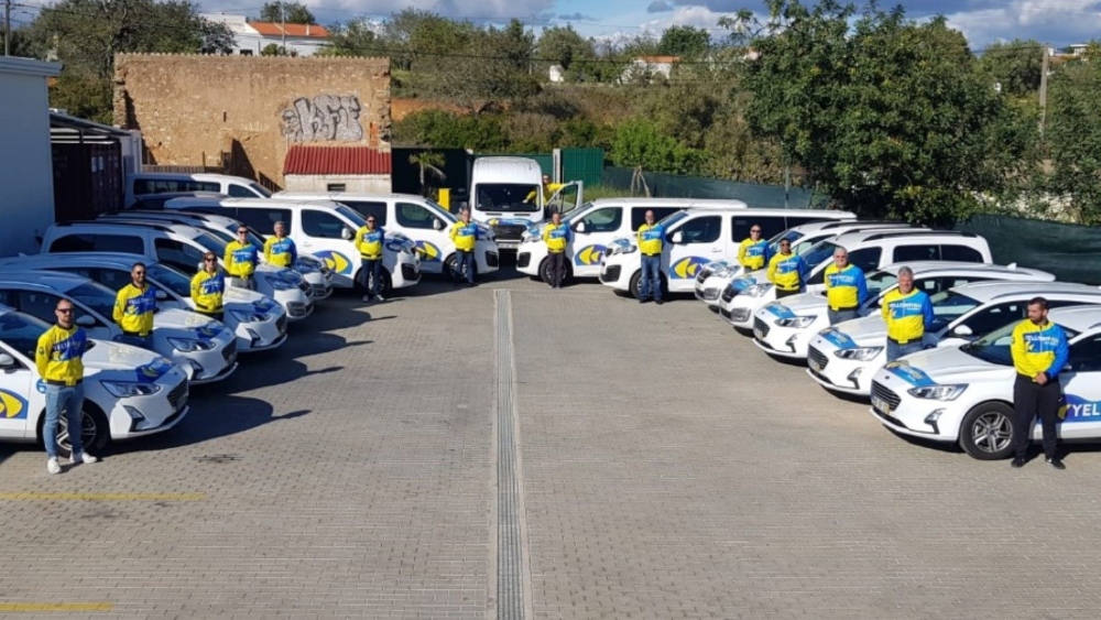 Yellowfish Transfers