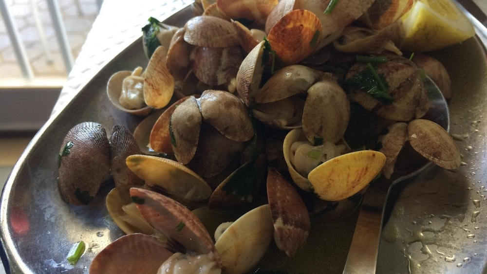 Clube de Pesca e Náutica Desportiva Albufeira