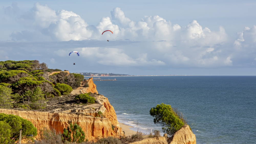 Município de Albufeira